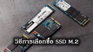 คู่มือเลือกซื้อ SSD M.2 ให้คุ้มค่าและตอบโจทย์การใช้งานจริง
